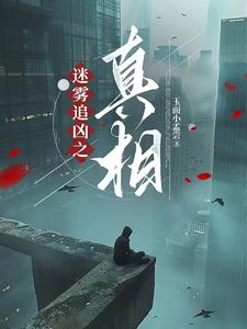 迷雾追凶谁杀了女孩